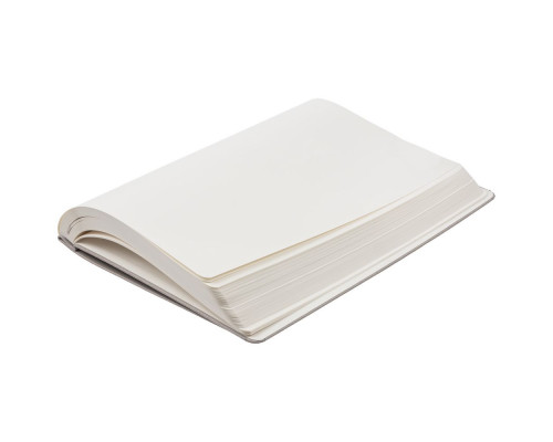 Ежедневник Eversion, недатированный, серый