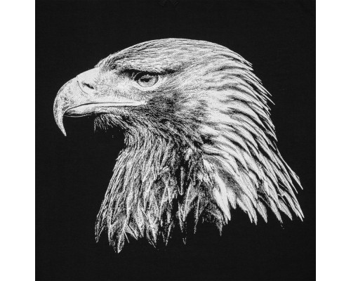 Свитшот мужской Like an Eagle, черный