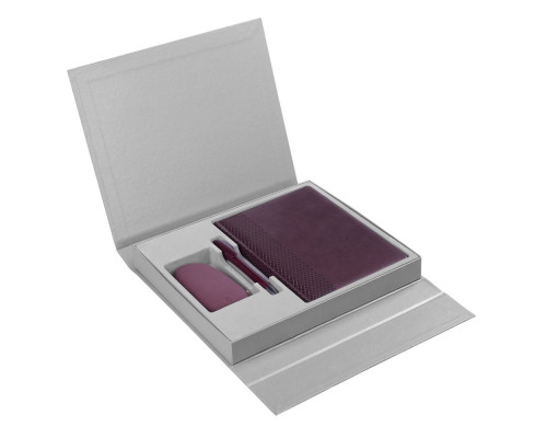 Коробка Status под ежедневник, аккумулятор и ручку, серебристая