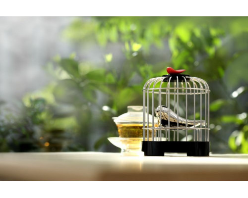 Музыкальный заварочный набор «Певчая птичка»