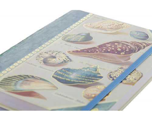 Книга для записей Shells