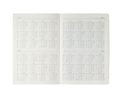 Ежедневник LUXE, недатированный, бордовый