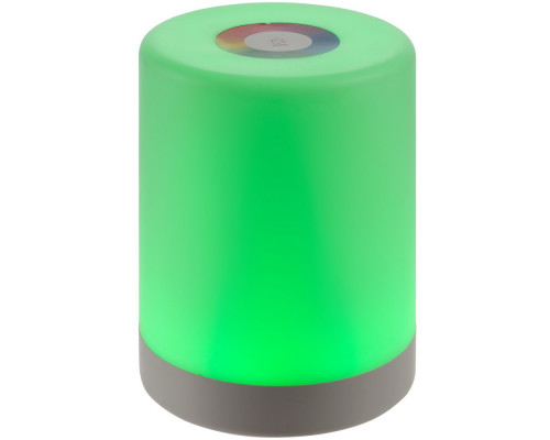 Лампа с управлением прикосновениями TouchLight