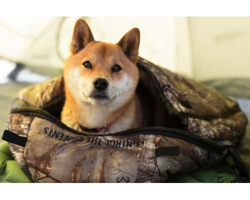 Надувной коврик Static V Realtree Camo, камуфляж