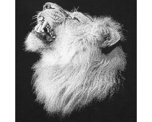 Свитшот детский Like a Lion, черный