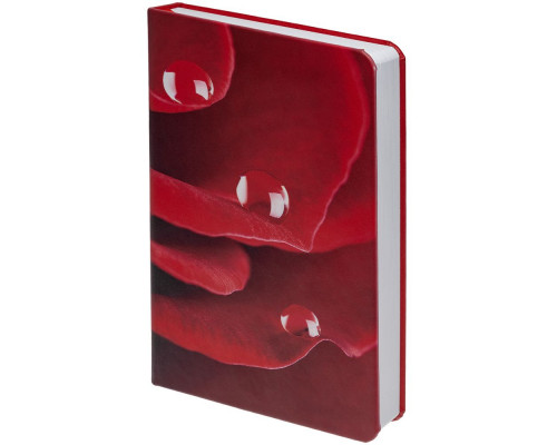 Набор «Роза»: ежедневник и зеркало