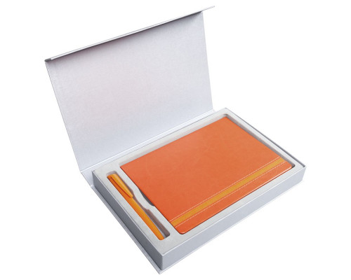 Коробка Silk под ежедневник и ручку, серебристая