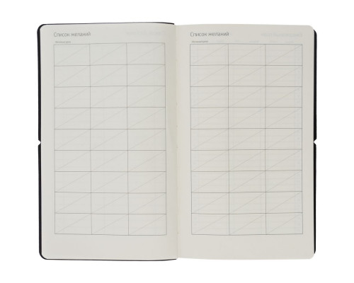 Ежедневник Nubuk, недатированный, черный