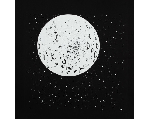 Холщовая сумка «Что вечно под Луной» со светящимся принтом