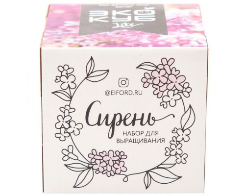 Набор для выращивания «Экокуб Lite», сирень