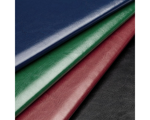 Папка адресная Nebraska, синяя