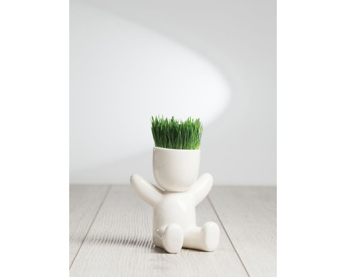 Набор для выращивания Funky Kid