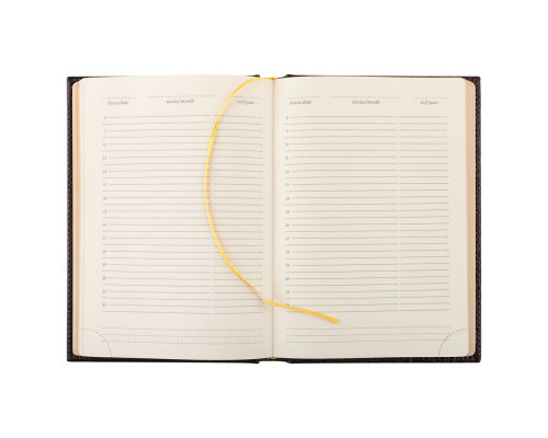 Ежедневник LUXE REPTAIL, недатированный, коричневый