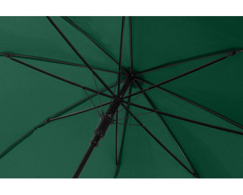 Зонт-трость Glasgow, зеленый
