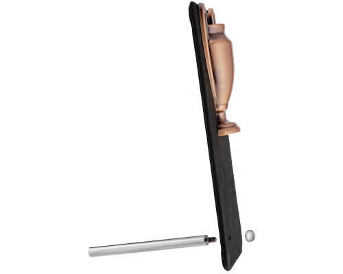 Награда Triumph Bronze