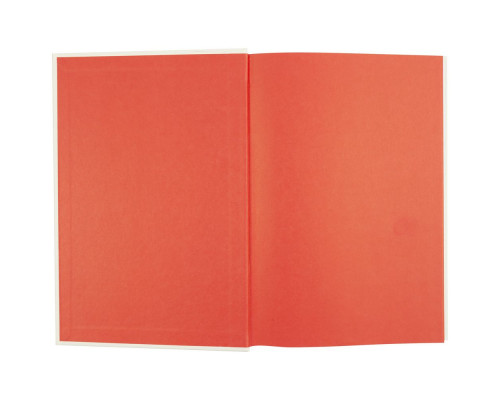 Книга «НИ СЫ»