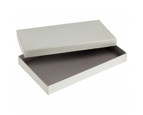 Коробка Horizon, серебристая