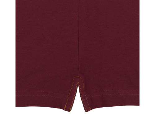 Рубашка поло мужская DNM Forward бордовая