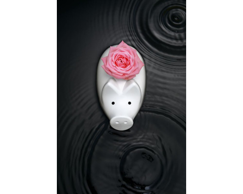 Свинья-копилка Charmy, белая