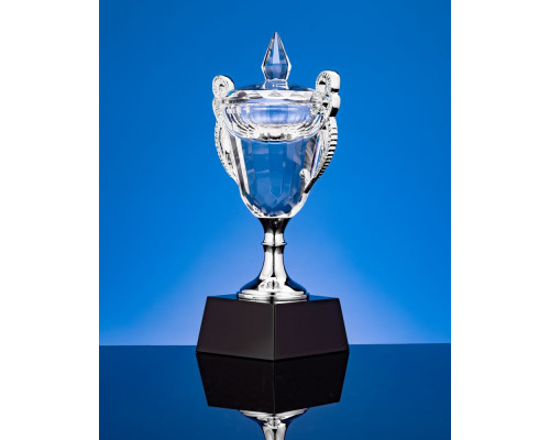 Кубок Victorious, малый