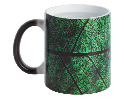 Кружка Evergreen