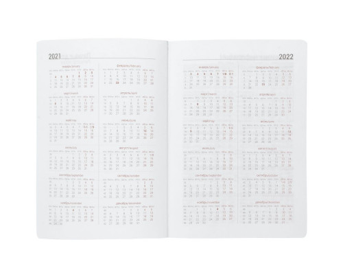 Ежедневник Basis, датированный, серый