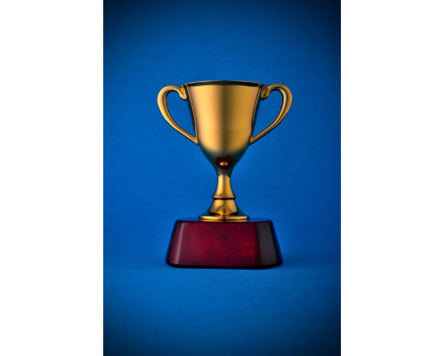 Награда «Кубок»