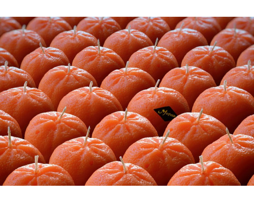 Набор свечей Citrus Box