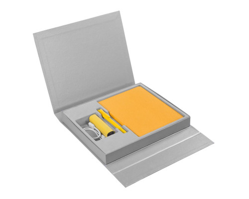 Коробка Status под ежедневник, аккумулятор и ручку, серебристая
