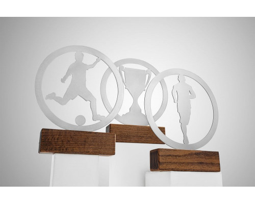 Награда Acme, кубок