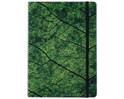 Ежедневник Evergreen, недатированный