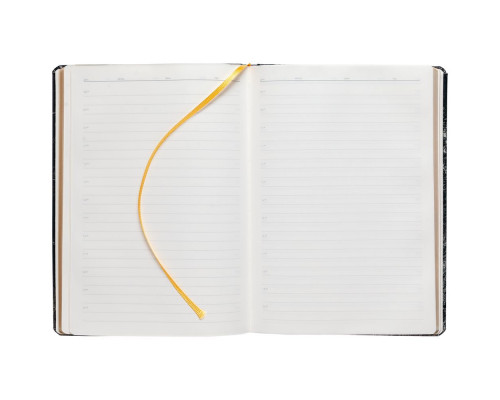 Ежедневник «Золотая Жила»