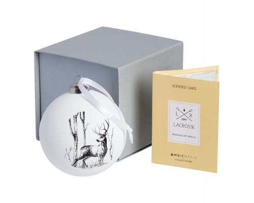 Коробка Alian, серебристая