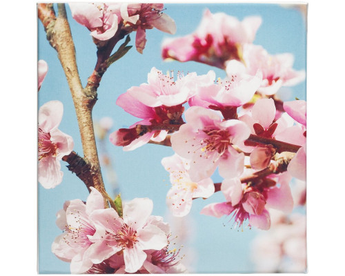 Настенная композиция «Цветение»