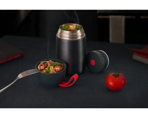 Термос для еды feedAway 700, серо-стальной