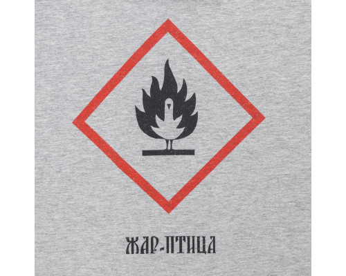 Футболка «Жар-птица», серый меланж