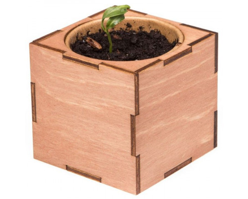 Набор для выращивания «Экокуб Lite», сирень