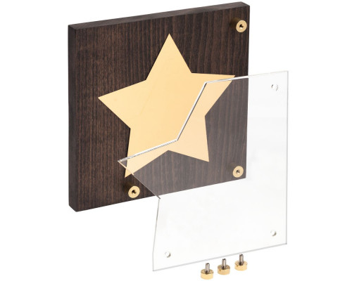 Награда Asteri Dark Gold