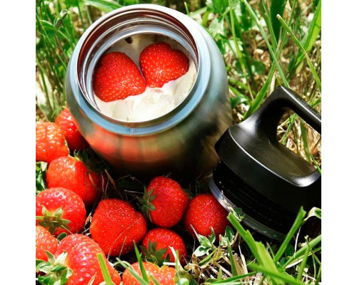 Термос для еды Hot & Cold Food Jar 500, стальной