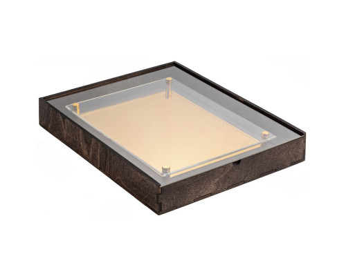 Плакетка Destiny's Shield Gold, венге