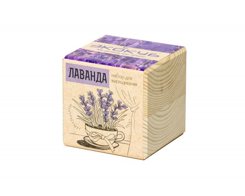 Набор для выращивания «Экокуб», лаванда