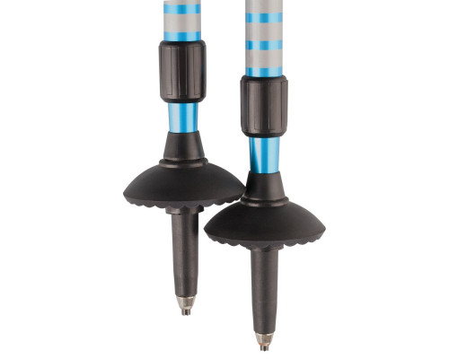 Палки горнолыжные West Highland