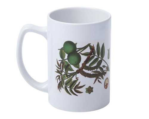 Кружка «Грецкий орех»