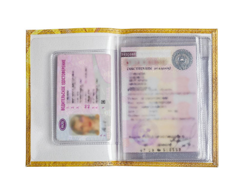 Обложка для автодокументов «Хозяйка огня»