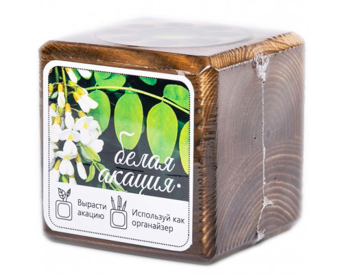 Набор для выращивания с органайзером «Экокуб Burn», акация