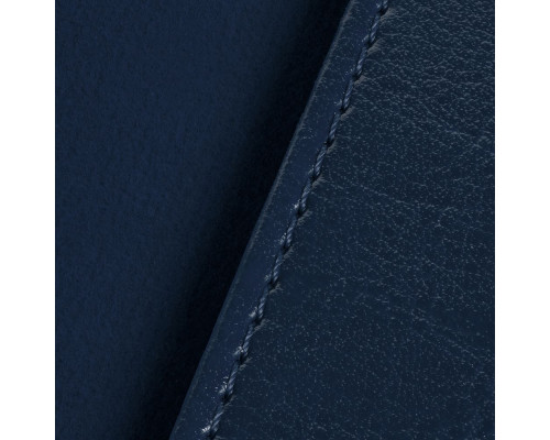 Обложка для паспорта Nebraska, синяя