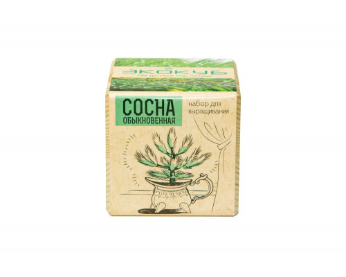 Набор для выращивания «Экокуб», сосна
