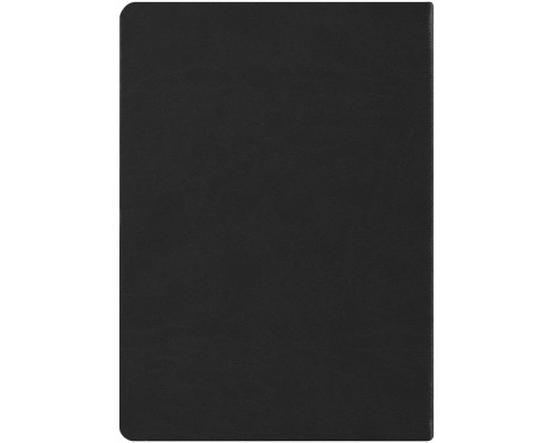 Ежедневник «По высшему разряду», недатированный, черный