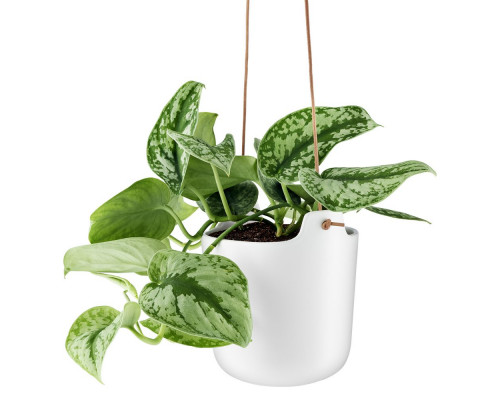 Горшок для растений Flowerpot, подвесной, белый
