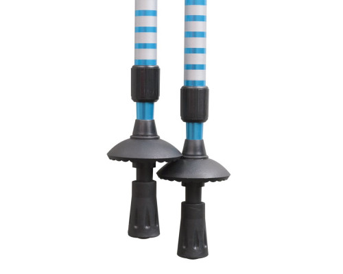 Палки горнолыжные West Highland